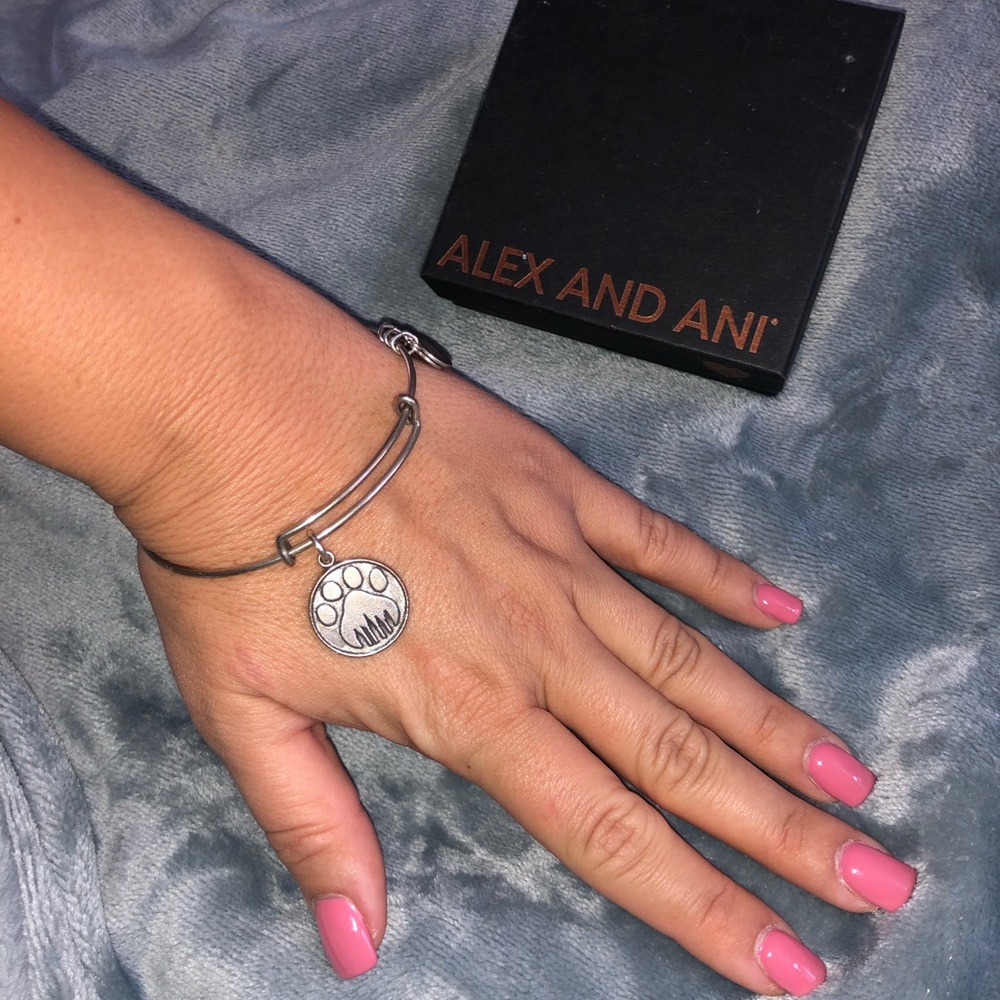 Alex and ani bracelet